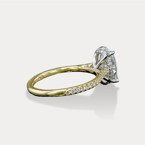 Oval Hidden Halo Yellow Gold view 2