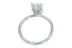 Oval Diamond Tulip Platinum Solitaire