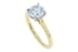 Round Diamond Two Tone Cathedral Hidden Halo Solitaire