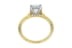 Round Diamond Two Tone Cathedral Hidden Halo Solitaire